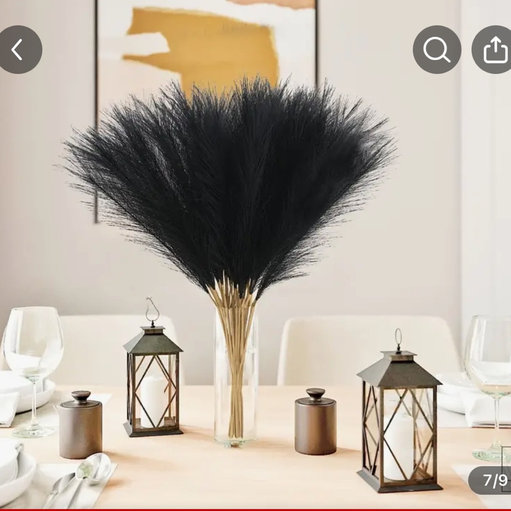 Meet your Posher, Nakia